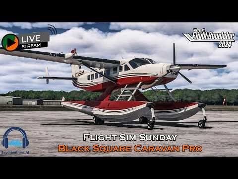 Black Square Caravan Pro | Florida Hop | MSFS 2024 🛩️