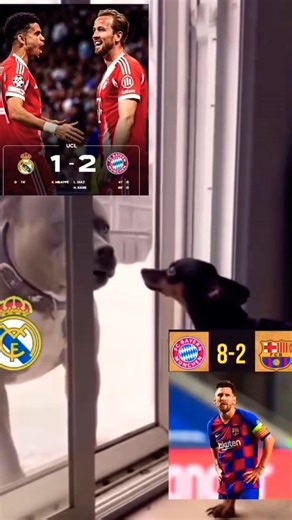 Minimal gak 8-2 🤣🤣#realmadrid#barcelona#ucl