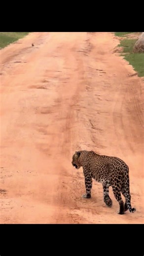 2025- The shedding was real, the lessons were brutal. My heart is full -ready for the next chapter to begin #grateful #fypシ