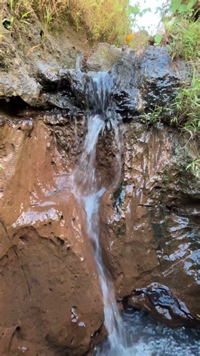Mini waterfall#waterfall #waterfallsounds