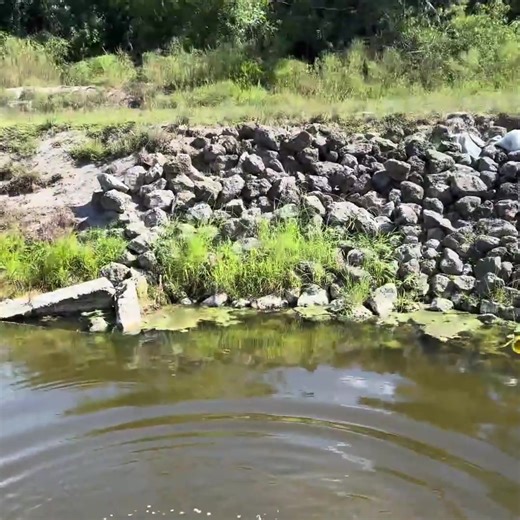 210K views · 3.4K reactions | I Built a GIANT Primitive Fish Trap | Bass Fishing Productions | Facebook