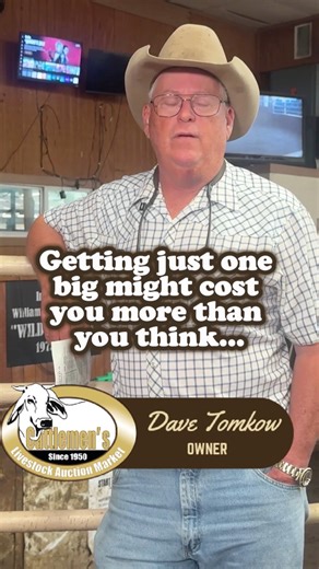 Thinking of selling your cattle in the country? Here’s why getting just one bid might be costing you more than you think… | Cattlemen's Livestock Auction Market, Inc.