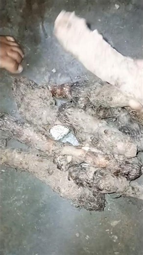 রাতে ঘুম না আসলে এই ওয়াজ টি শুনেন #new