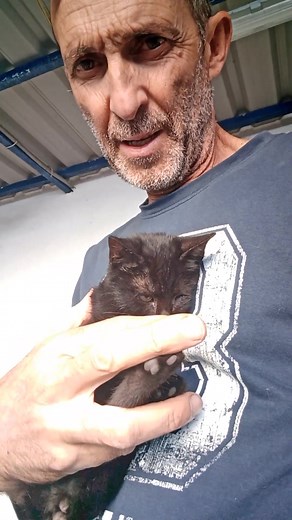 Gatinha 2,5 meses Encontrada a vaguear na estrada procura família sem preconceitos,tem um olhinho cego. Para adoção Montijo 967040782 | Alexandre Antonio Duarte