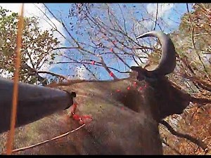 To SPEAR Black Death in "Game of Thorns" Part 1