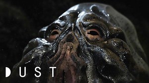 Film - Clearwater (2020)