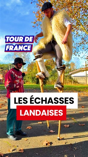 Yann Chabouté on Instagram: "Cette forêt a bouleversé l'histoire de toute une région. Autrefois marécageuses, les Landes sont aujourd'hui recouvertes de forêts de pins. Avec les marécages, c'est toute une culture qui aurait pu disparaître, celle des échasses landaises. Heureusement, des groupes folkloriques tels que @lesheronsdeslacs préservent aujourd'hui cet héritage ! #histoire #culture #patrimoine #landes #nature #voyage #art #danse #tourdefrance"