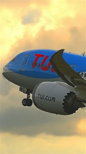 Boeing 787 smooth takeoff at dusk