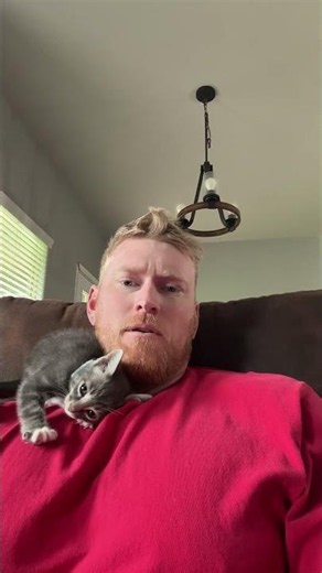 Carlos the Kitten Trying His Best to Befriend New Owner || ViralHog