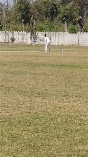 HOW CRUCIAL RUNNING BETWEEN WICKETS IN MATCH? #cricket#cricketlover#indvsnz #match#running#ground