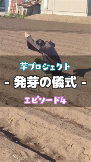 農業初心者の大学生が焼き芋屋を開業するために農業に挑戦！今回は植え付け後の「発芽の儀式」!? #農業 #ジャガイモ #岩手