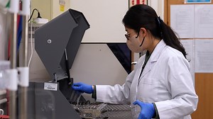 A Method to Study α-Synuclein Toxicity and Aggregation Using a Humanized Yeast Model