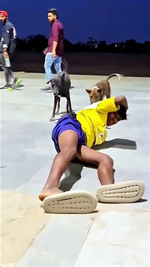 Dog is😰best🐶 and amazing dog flip #viraljump#dogshorts #dogclothes #animals #youtube