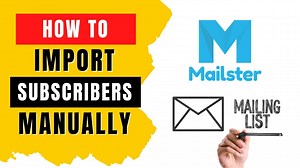 How to Import Subscribers Manually In Mailster (Text Field)