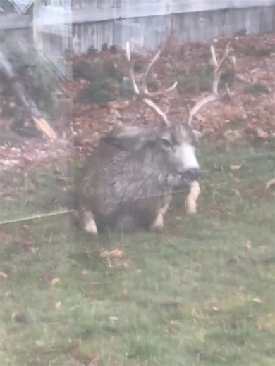 KHQ Local News on Reels