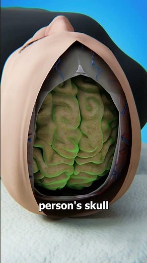 Is It Possible To Swap Brains? 🤔