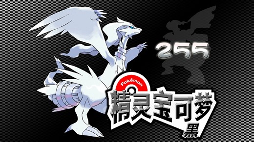 〖爱儿の宝可梦〗第255期：七宝道馆与矢车森林[NDS_Black][黑版]