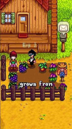 Stardew Forage XP - SDU #stardewvalley #stardew