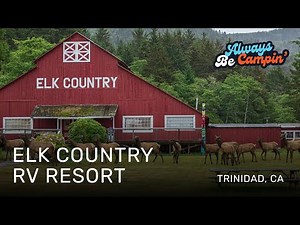 Elk Country RV Resort in Trinidad, CA - See Elk almost every day!