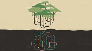 More secure and efficient: Changing DBSNMP password using automation