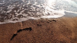 Election, Republican, Democrat