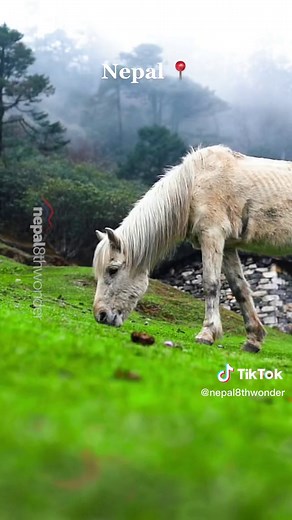 Nepal for you. #nepal #fypシ #nepal8thwonder