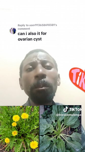 Replying to @user913658610381 #0977615916 #zedtictok🇿🇲👊