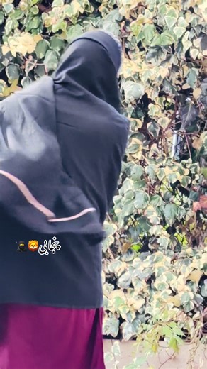 Nam kr ky search meno krdiya add🔥🥷💸#چمئپین_وڑائچ_⛳️🦁 #پنجابی_کلچر🌾🍂 #اٹلی_آلہ_جٹ🦅🦁 #وڑائچ_جانو_چک_آلا_🔥🥷 #منڈی_بہاؤالدین_آلے_✌🏻❣️