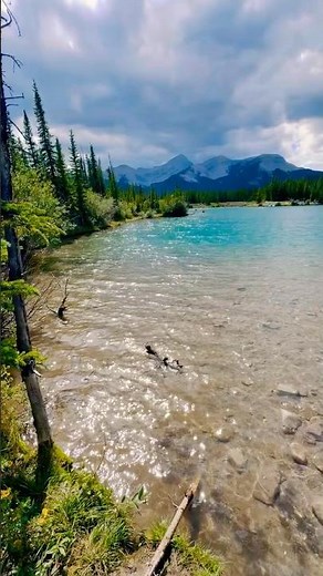 Forget-me-not Pond, Kananaskis AB #alberta