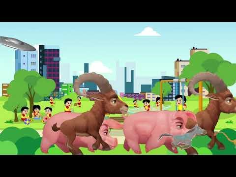 I SURVIVED a Wild Animal Stampede and What Did I Learn?