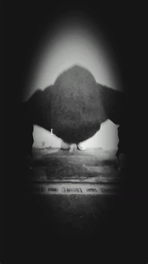 Boxing foryou #fanboxing✊ foryou ####fanboxing✊