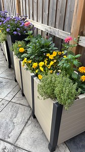 1.7K reactions · 37 shares | How to make a dull space an interesting...