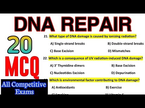 DNA Repair Mechanism MCQ || Molecular Biology| Most Important Questions And Answers