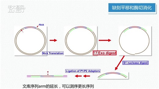 4.2 SOLID 测序技术