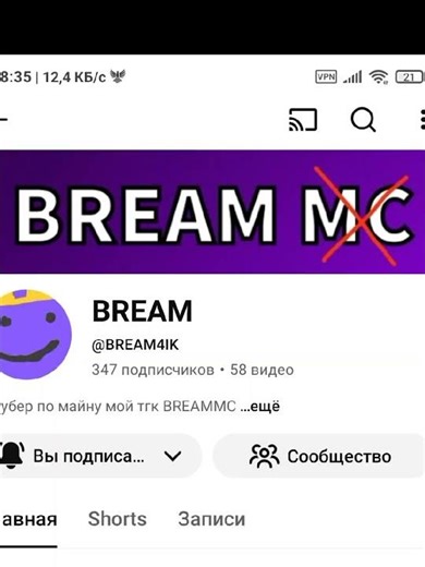 нееет #Bream #minecraft #майнкрафт