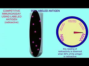 competitive immunoassay using radioactive antigen