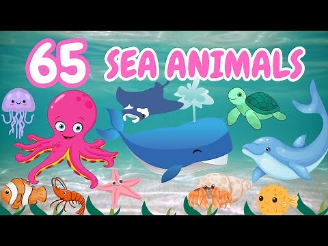 65 Amazing Sea Animals 🌊 The Best Ocean Learning Video for Kids!