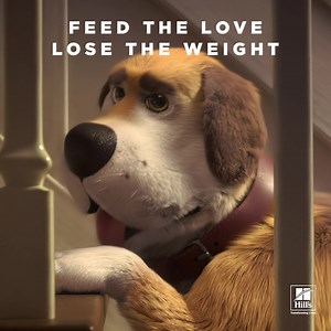 Millions of pets have lost weight with Hill’s. Try it today at PetSmart. | PetSmart