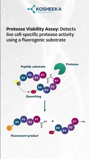 Types of Cell Viability Assays | #CellViability #Assays #cellculture
