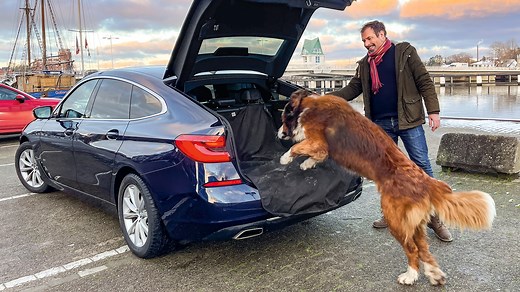 BMW 640d xDrive Gran Turismo im Alltagstest - AUTO BILD