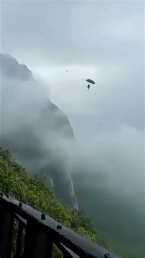 monkey goes to fly #dothingsyoudontwanttodo #aveeplayerlegend #automobile #theothersideofmakebelieve