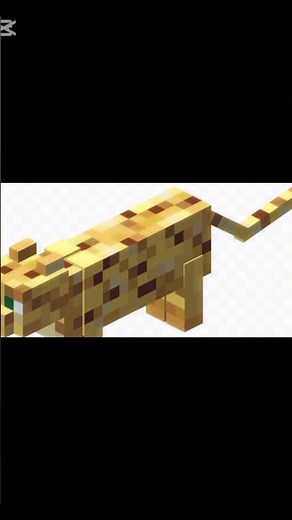 Ocelot | Minecraft Edit (ver.9)