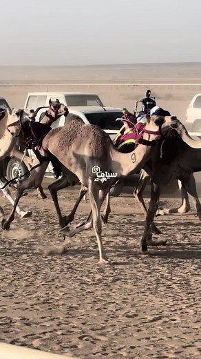 فيديوهات أنشأها سيأف🏆. (@z2e34) باستخدام الصوت الأصلي - M_8009