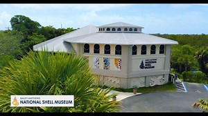 264 reactions · 52 shares | Explore the fascinating world of mollusks...