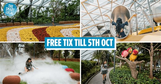 Get Free Canopy Park Tickets Every Weekend By Completing 4 Simple Stations At Jewel Changi Airport