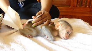 Cute Baby Girl Out Poop During Mom Wear New Diaper | Monkey Pets