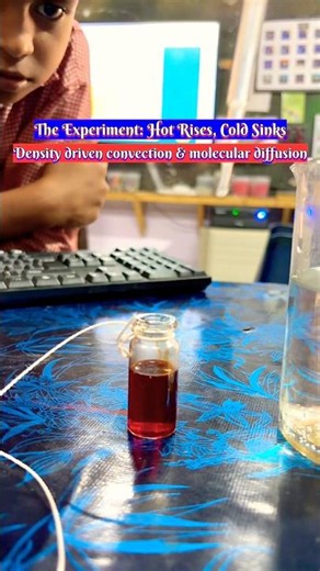 ✅Hot rises cold sinks : convection & molecular diffusion