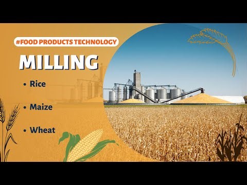 Milling of Rice, Maize and Wheat | Food Products Technology | FoodTech Journey | GATE |
