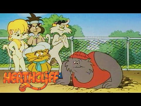 Kitty Kat Kennels | Heathcliff - WildBrain | Movies for Kids
