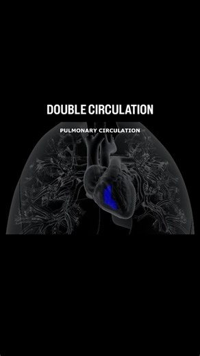 ALERT COACHING on Instagram: "So jao"